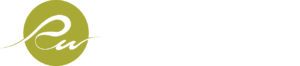 Pageworks Logo